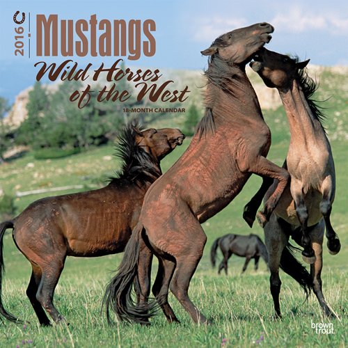 Mustangs, Wild Horses of the West 2016 Square 12x12