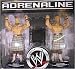 WWE Wrestling Adrenaline Series 26 Action Figure 2-Pack Highlanders (Robbie & Rory Mc...