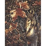 Dimensions Autumn Wolf Malen nach Zahlen mit Acrylfarben