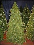 6.5' Pre-Lit Tannenbaum Artifical Christmas Tree - Multi Lights