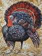 Turkey Thanksgiving Fall Autumn Timeless Treasures Fabric Yard