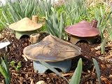Toad Abode