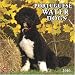 Portuguese Water Dogs 2010 Square Wall