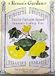 Summer Squash 3 Varieties of Pattypan Seeds 20 Seeds