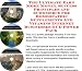 Book The Ultimate Earn More Money, Success Principles and eCommerce for Homeopathic Supplements And Vitamins Internet Businesses 3 CD Power Pack