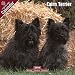 2009 Cairn Terrier Wall Calendar