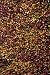 Foreign Accents ECI 8513 Elementz Starburst Collection 3ft 7in x 5ft 5in Area Rug - Antik Image