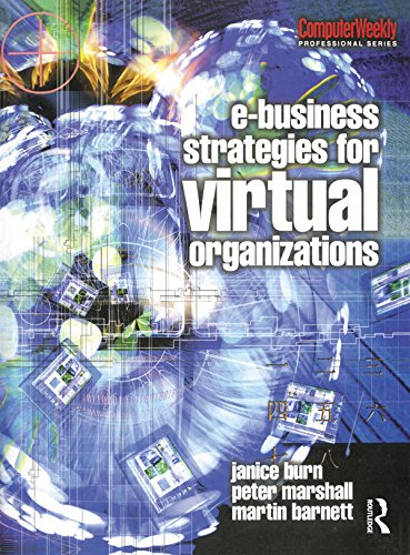 e-Business Strategies for Virtual Organizations (Computer Weekly Professional)