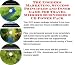 Book The Insider's Marketing, Success Principles and Inner Game for Travel Mirrors Businesses 3 CD Power Pack