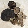 Fresh Black Winter Truffles from Italy