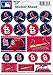 WinCraft MLB St. Louis Cardinals Vinyl Sticker Sheet, 5