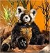 Big Red Panda