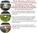 Search : The Quick and Easy Make An Extra Income, Inner Game and eCommerce for Cash Boxes Web Businesses 3 CD Power Pack
