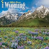 Wild & Scenic Wyoming 2016 Wall Calendar