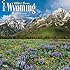 Wild & Scenic Wyoming 2016 Wall Calendar
