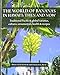 The World of Bananas in Hawaii: Then and Now