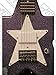 Daisy Rock Debutante Star Short Scale Cosmic Purple Electric Guitar