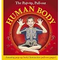 Pop-Up, Pull-Out Human Body