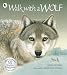 Walk with a Wolf