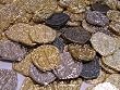 Pirate Treasure Coins - 30 Gold and Silver Doubloon Replicas