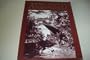 Back Then: A Pictorial History of Americans Afield