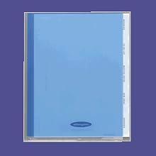 Wilson Jones View Tab Sorter, 8.5 x 11 Inches, Clear (W55765)