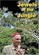 Jewels of the Jungle