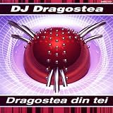 DJ Dragostea's Original Mix
