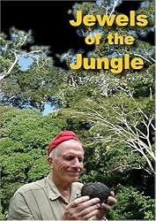 Jewels of the Jungle
