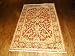 Handmade Pakistani Ghazani Sultanabad Rug 4'x6'