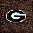 Georgia Bulldogs NCAA Stepping Stone by New Creative