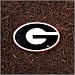 Georgia Bulldogs NCAA Stepping Stone by New Creative