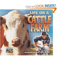 Life on a Cattle Farm (Life on a Farm)