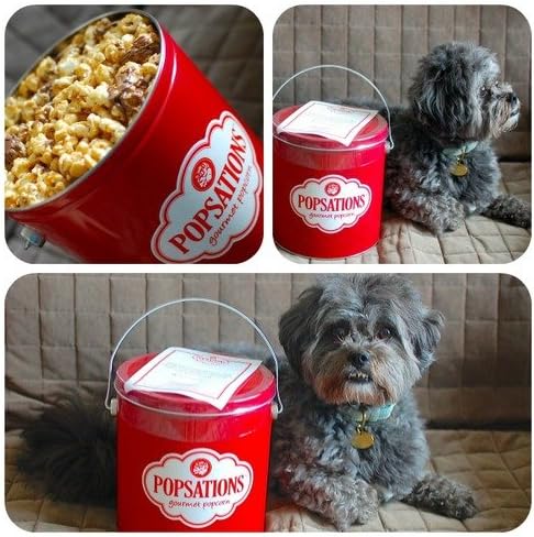 Popsations Popcorn Company Gift Certificate ($20)