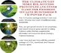 The Ultimate Get More Biz, Success Principles and Inner Game for Frisbees On-line Businesses 3 CD Power Pack