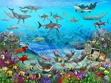 Walltastic Sea Adventure Designer Fototapete
