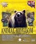 Animal Kingdom