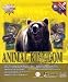 Third Party New : Animal Kingdom