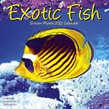 Kalender 2012 Exotische Fische - Exotic Fisch