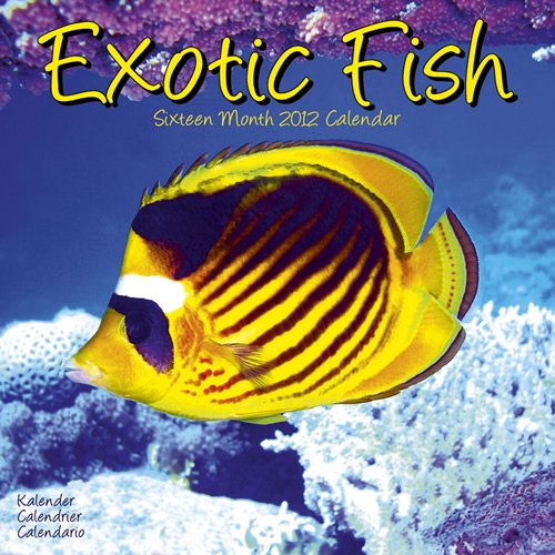 Kalender 2012 Exotische Fische - Exotic Fisch