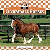 Clydesdale Horses (Checkerboard Animal Library: Horse Set I)