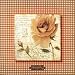 Checkered Rose Gallery - Rowena by Joadoor Fine Art Print / Poster 11.75 x 11.75 in.