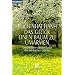 Das Gl�ck, einen Baum zu umarmen: Geschichten von der Kunst des achtsamen Lebens