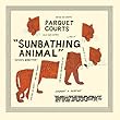 Buy Parquet Courts - Sunbathing Animal New or Used via Amazon