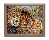 African Phases Cat Lion Tiger Animal Wildlife Home Decor Wall Picture Oak Framed Art Print