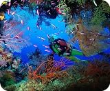 Underwater Scubadiver mousepad mouse pad [Office Product]
