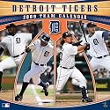 Detroit Tigers 2009 Wall Calendar