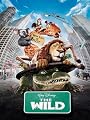 play video on Amazon Instant Video