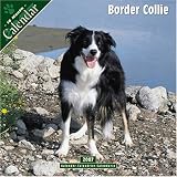 Border Collie 2007 Wall Calendar
