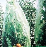 XCLOU GARDEN - XG Tomatenhaube 0,65x10 mtr